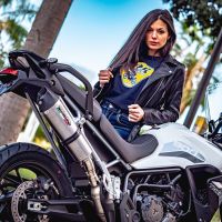 Pot echappement compatible avec Triumph Tiger 900 2020-2023, GP Evo4 Titanium, Échappement légal, homologué,silencieux avec db killer amovible et tuyau de liaison spécifique 